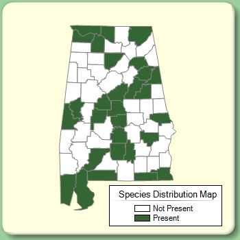 Species Distribution Map