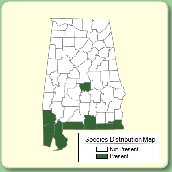 Species Distribution Map