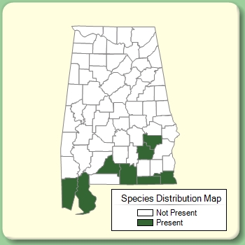 Species Distribution Map