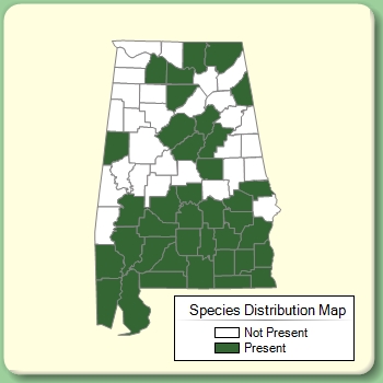 Species Distribution Map