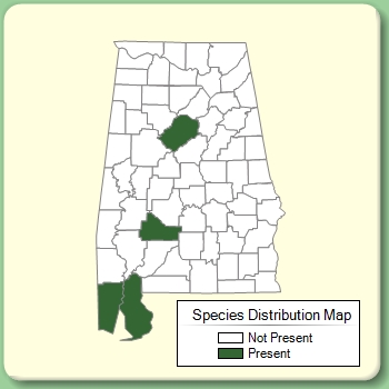 Species Distribution Map