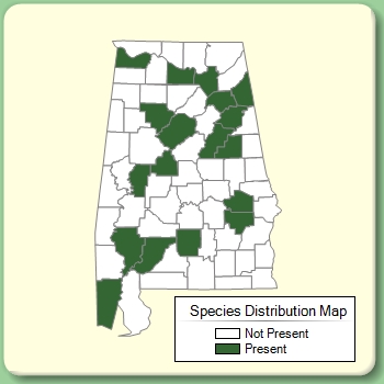 Species Distribution Map