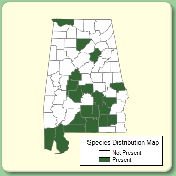 Species Distribution Map