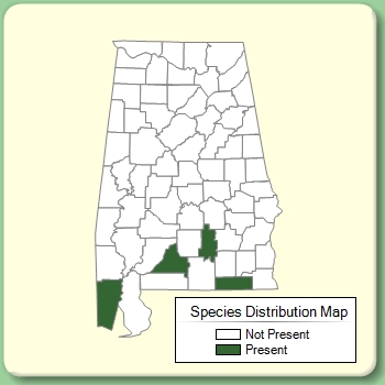 Species Distribution Map