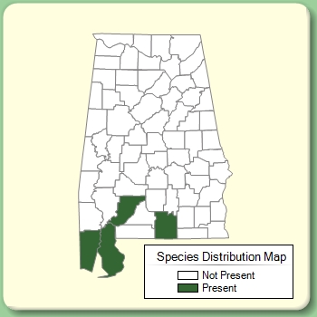 Species Distribution Map