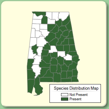 Species Distribution Map