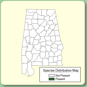 Species Distribution Map