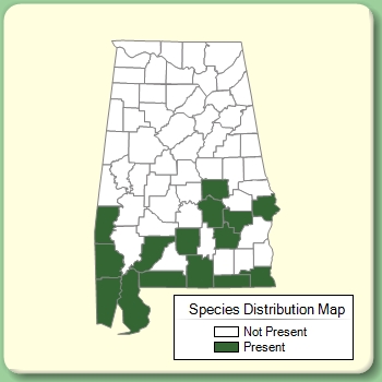 Species Distribution Map