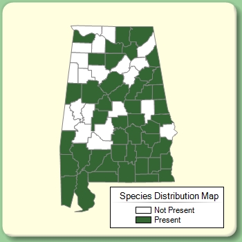 Species Distribution Map