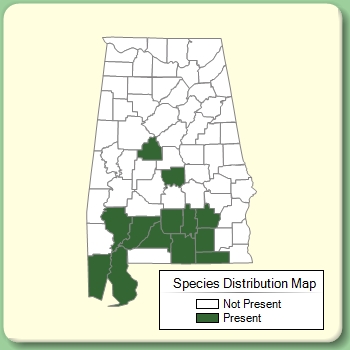 Species Distribution Map