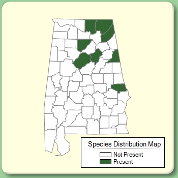 Species Distribution Map