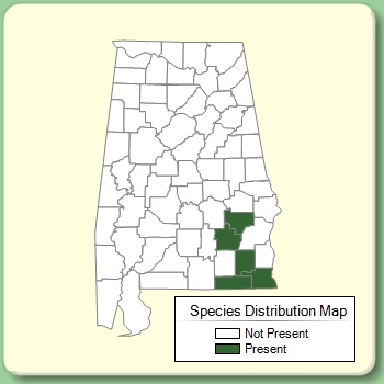 Species Distribution Map