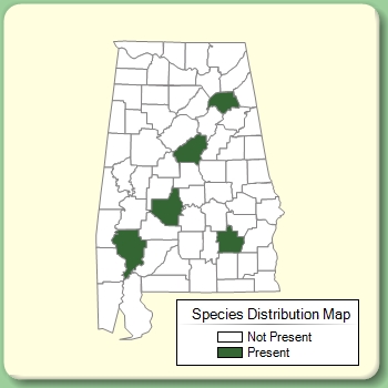 Species Distribution Map