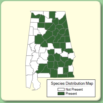 Species Distribution Map