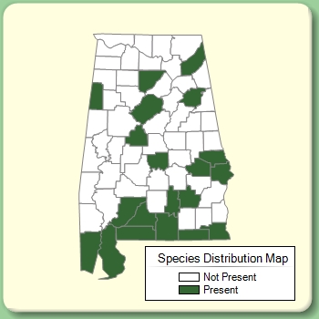 Species Distribution Map