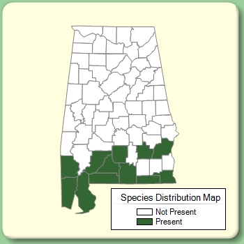 Species Distribution Map