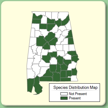 Species Distribution Map