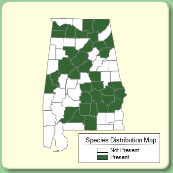 Species Distribution Map