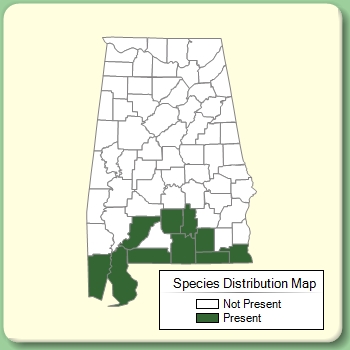 Species Distribution Map