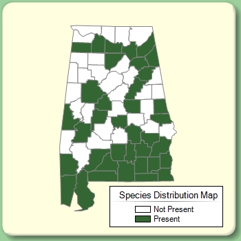 Species Distribution Map