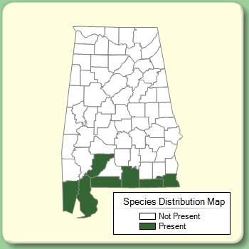 Species Distribution Map