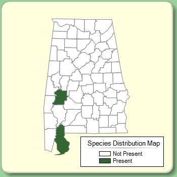 Species Distribution Map