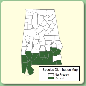 Species Distribution Map