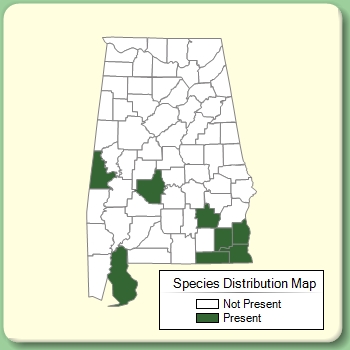 Species Distribution Map