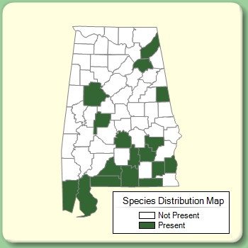 Species Distribution Map