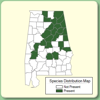 Species Distribution Map