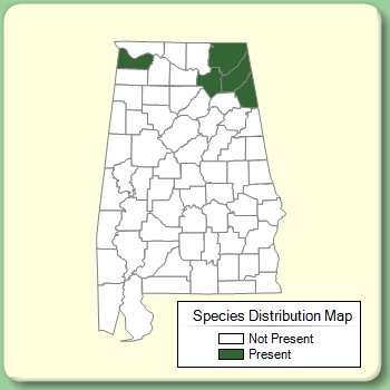 Species Distribution Map