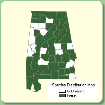 Species Distribution Map