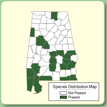 Species Distribution Map