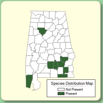 Species Distribution Map