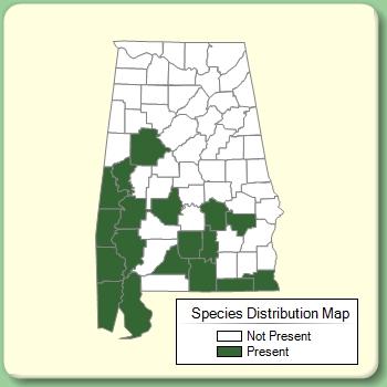 Species Distribution Map