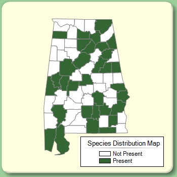 Species Distribution Map