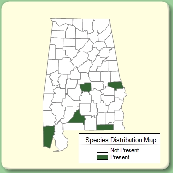 Species Distribution Map