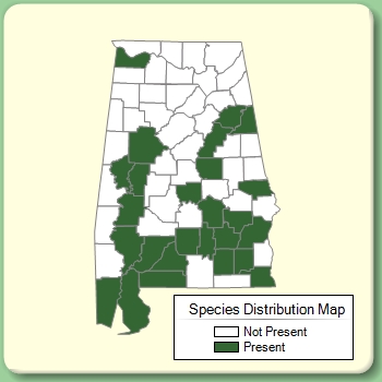 Species Distribution Map