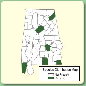 Species Distribution Map