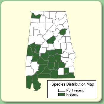 Species Distribution Map