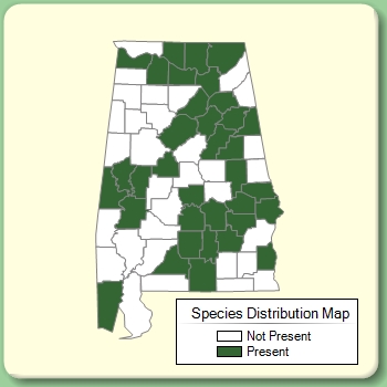 Species Distribution Map