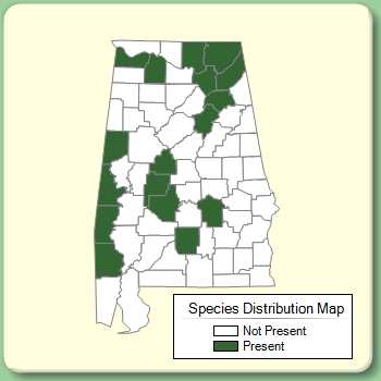 Species Distribution Map