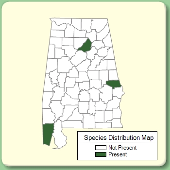 Species Distribution Map