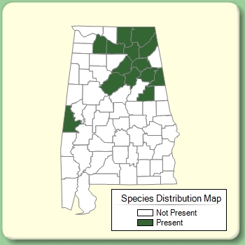 Species Distribution Map