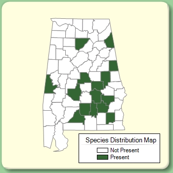 Species Distribution Map