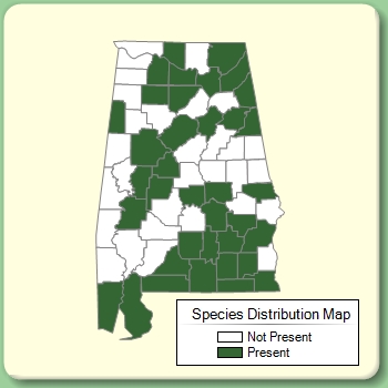 Species Distribution Map