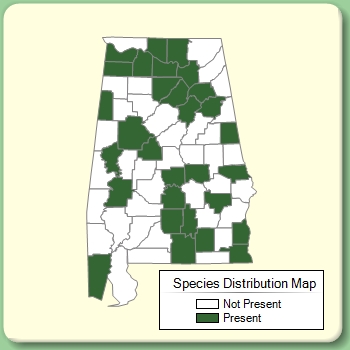 Species Distribution Map