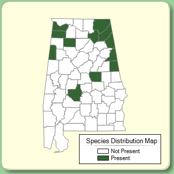 Species Distribution Map