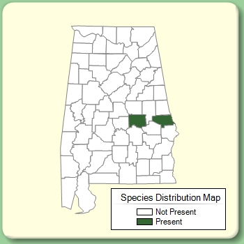 Species Distribution Map