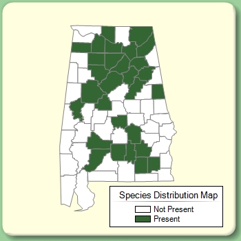 Species Distribution Map